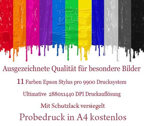 Leinwanddruck und Fine Art Printing Drucktechnologie